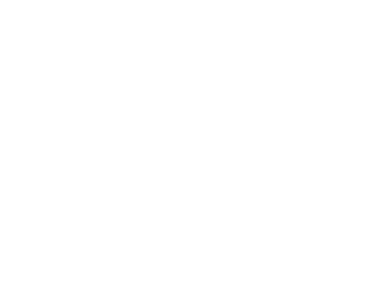 Cisnet SRL